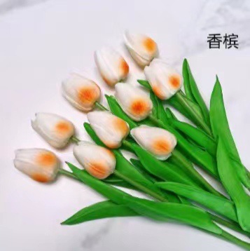 2bce3772bd1a8892d4cf22720c887e