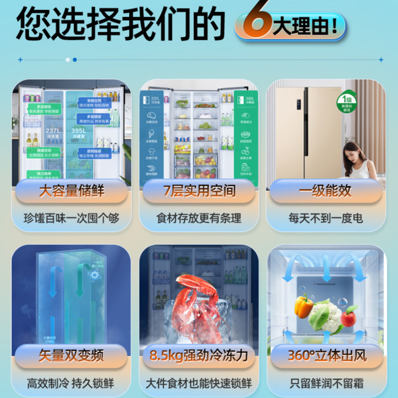 容声632升电冰箱对开双开门变频家用大容量风冷BCD632WD11HAP其他