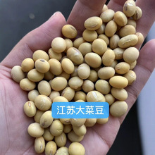 安徽大豆直批农家安徽黄豆 豆腐豆制品专用原料 安徽黄豆