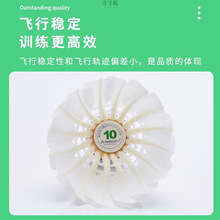 10̖�򌣘I��ë���Zë���c����12ֻ�bӖ��������Դ�^�羳���S���l