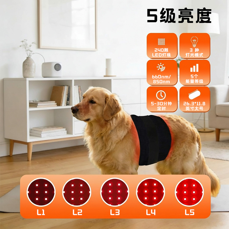 120 perlas cinturón de fisioterapia de luz roja infrarroja para mascotas cinturón de fisioterapia de luz roja infrarroja para gatos y perros luz asada para ayudar a acondicionar el cinturón de protección de luz infrarroja