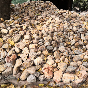 Natural Dragon Wall Stone Multi-grain Yellow Landscaping Stone Courtyard Garden Micro-landscape Landscaping Decoration Stone