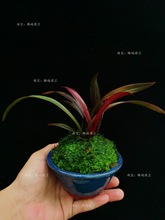 Fm罨mt辰Ʒ҃ȿ͏d滨ԝB