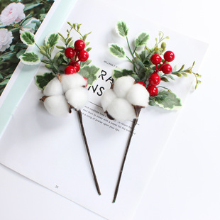 �羳��Ʒ�}�Q��֦�����ɹ�֦ѩ����ᘝ{���t��֦�����}�Q�b�Ʒ