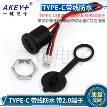 type-c -2P带线防水母座带线dc-022m数据电动充电口usb连接线焊线