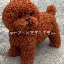 仿真约克夏泰迪腊肠犬柯基犬吉娃娃犬世界名犬