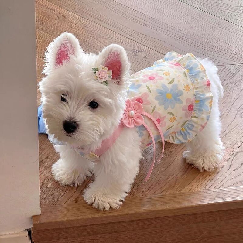 West Highland Pet Clothes Spring and Summer Thin Princess Dress for Teddy, Bichon, Pomeranian, Small Dog Dress with Straps West Highland Pet Clothes Spring and Summer Thin Princess Dress for Teddy, Bichon, Pomeranian, Small Dog Dress with Straps
