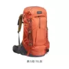 Violent Orange-70L model