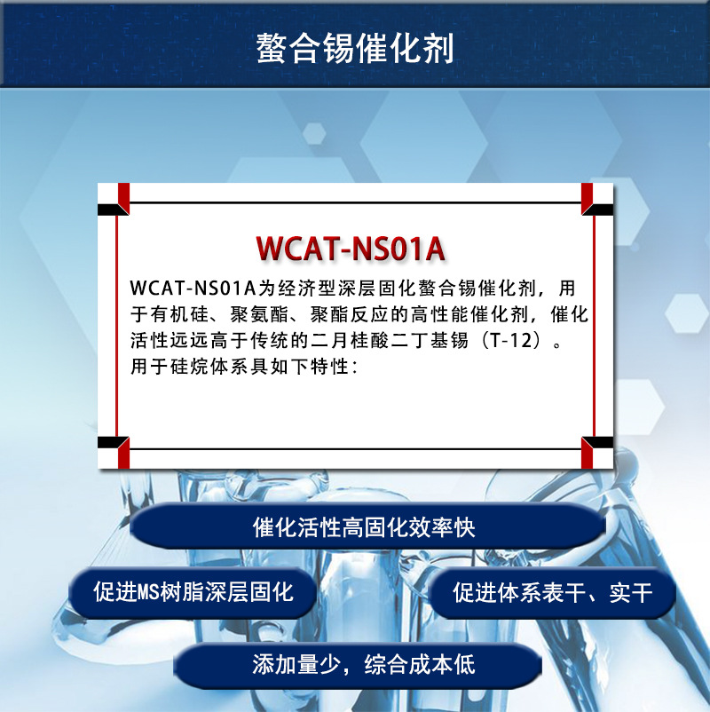 WCAT-NS01A详1.jpg