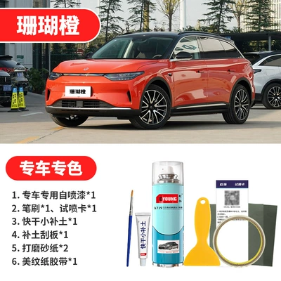 Avtomobil boya qələmləri | Gray Spray Paint - coral-orange-emergency-repair