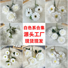 c滨ĻYõ피ٻƵb̨Ż·廨õ廨