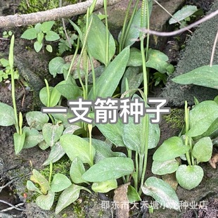 һ֧���N�� �N�������������ҧ�� ƿ������Ϣ�ݷN��