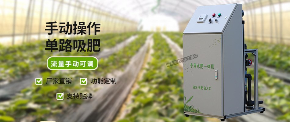 小型施肥機廠家 大棚蔬菜種植滴灌噴灌手動操作簡單的水肥一體機