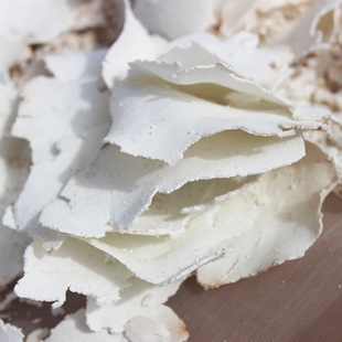 ������߱�Ƭ��ș����Ʒ��ˮ���������������߉K�������߸ɶ�