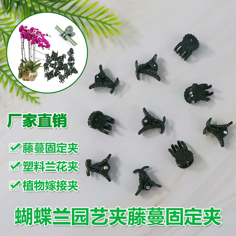 Фаленопсис Садоводство зажим для лозы фиксирующий Зажим пластиковый зажим для орхидеи зажим для прививки зажим для растений корзина для цветов держит зажим для лозы