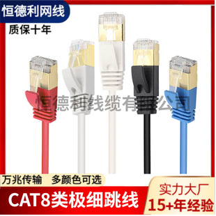 CAT.8 STP �羳��̱���O���A�W�����Ը��ٰ�W�j����