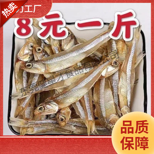 �����~С�~�ɸ�؛�����y�~�ɺ��r�Pβ�~С�S�~���~С���~