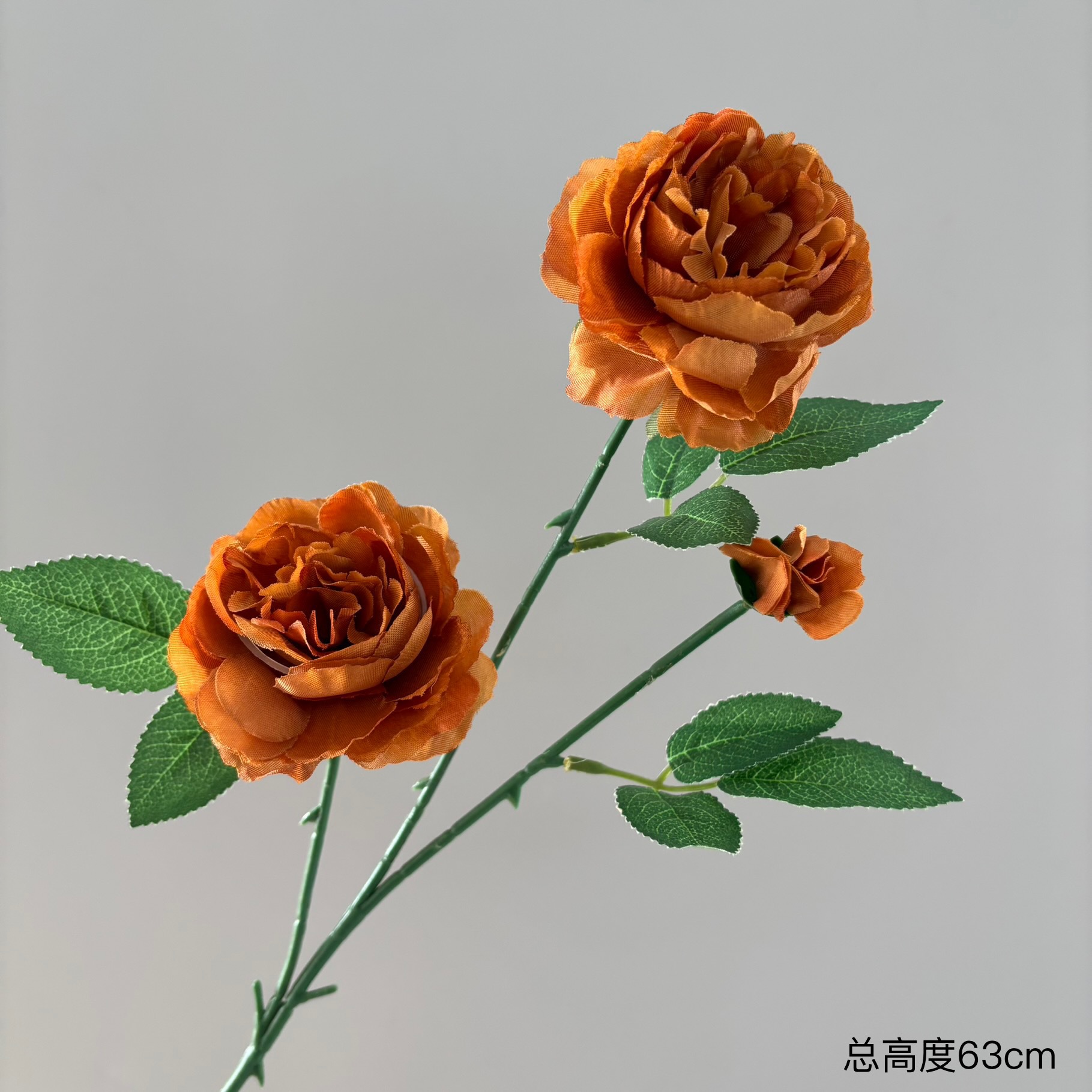 커피색
