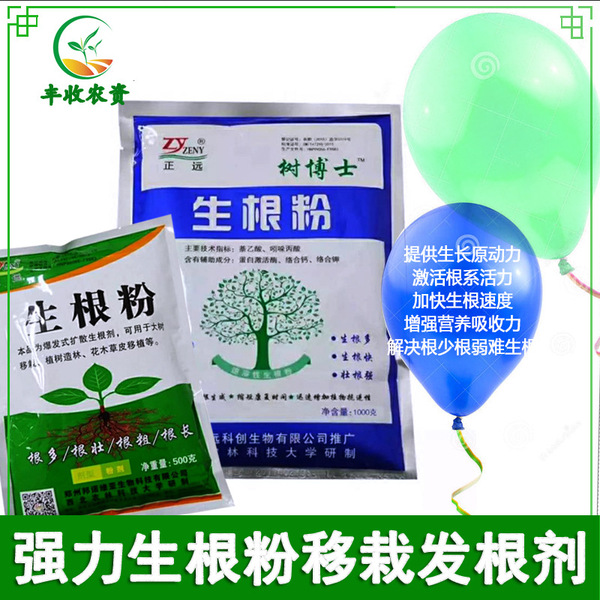 Powerful rooting powder Monthly succulent plants universal cuttings…