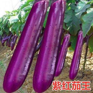 ���߮a�ϼt�L�Ѳ��ѡ�������ٺϻ��N����[������피t�N�Ѵ���