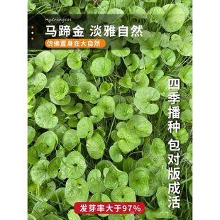 �²��R���ݷN�� �l ��ƺ�N�Ӳ��� �R���e�����X�� �~�X�ݷN��