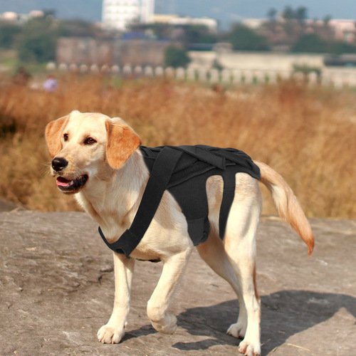 New Dog Back Support for IVDD Relief, Back Injury Relief, Back Support Dog Vest, Factory Direct Sale