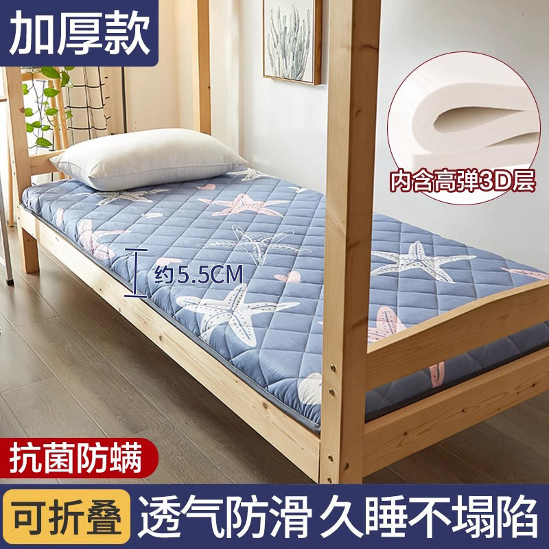 불가사리 [두꺼운 항균 및 항진드기] 5.5cm