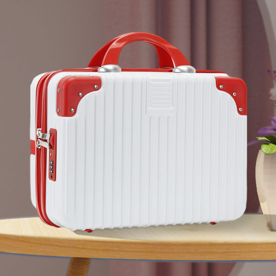 Plus Feiyang Luggage Factory Straight Hair 14-inch Small Luggage Hanging Trolley Case with Combination Lock Suitcase