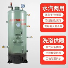 柴煤两用地暖锅炉农村新型节能家用取暖炉烧开水炉燃煤烧柴蒸汽炉