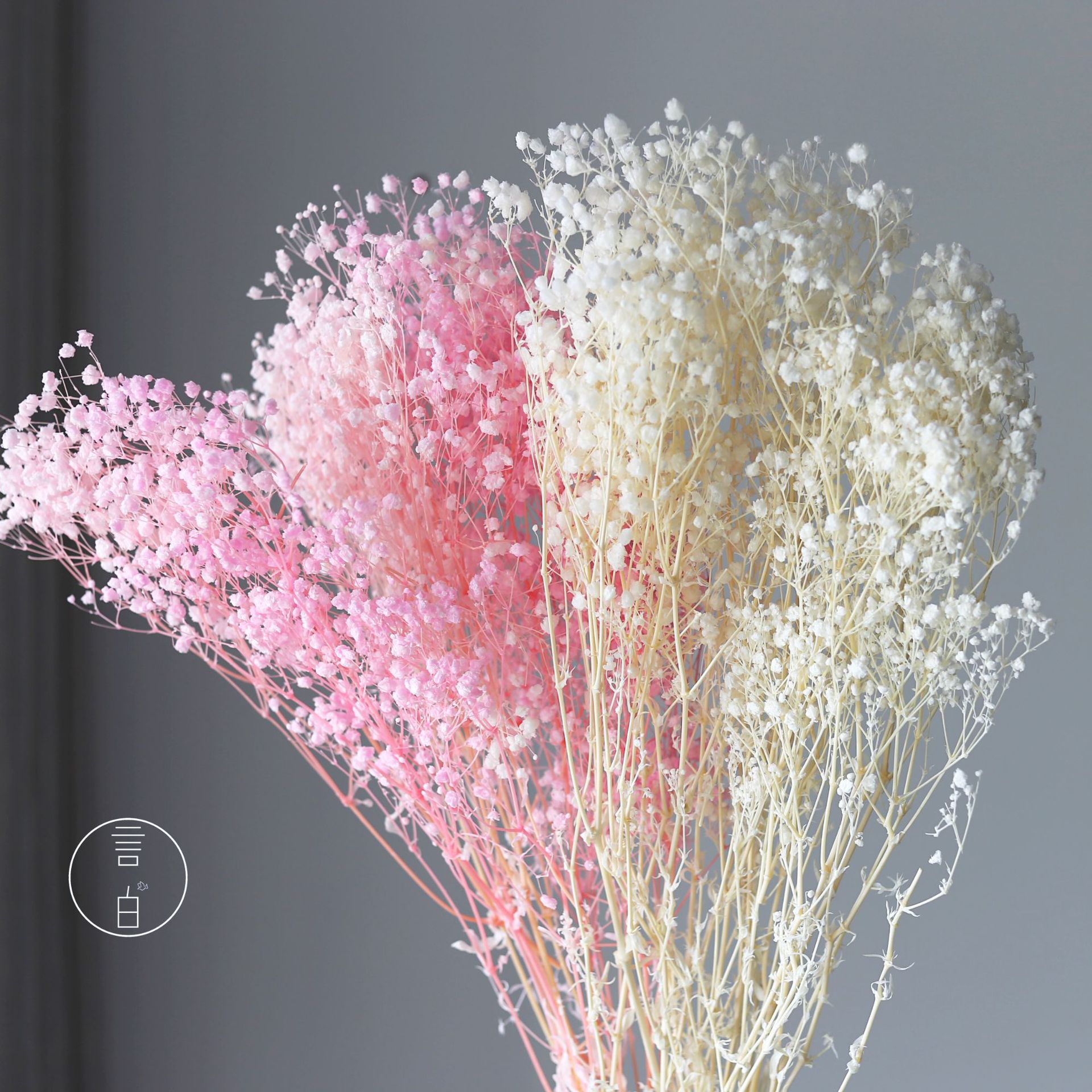 Everlasting Flower Dream Star Bleaching Small Full Moon Star Ten Thousand Stars Cloud Grass Million Stars Street Dry Flower Bouquet Factory Wholesale 