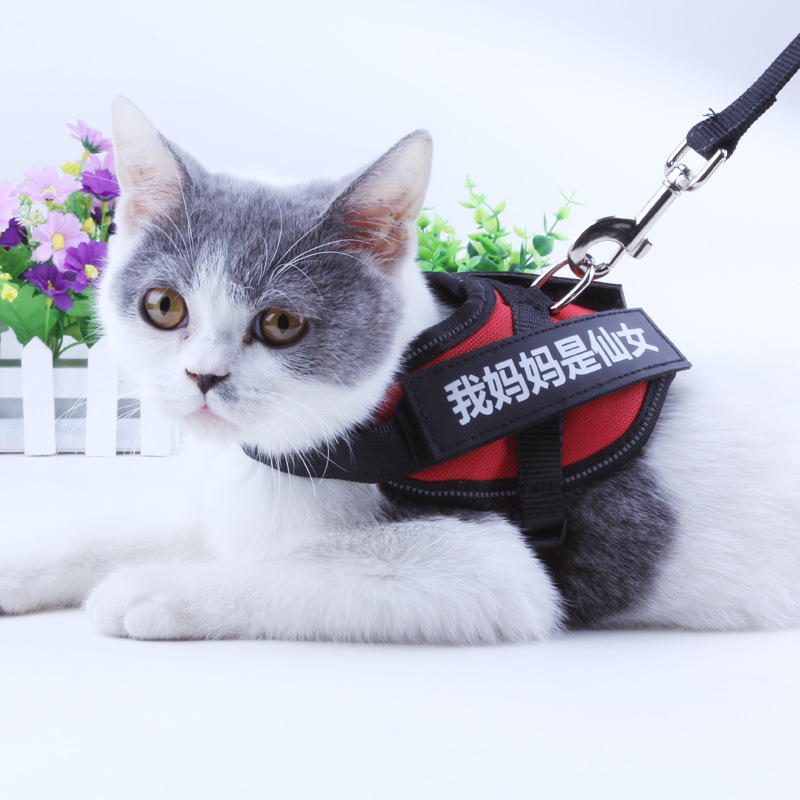 Manufacturer's Cat Harness Back Harness for Small Cats and Dogs Pet Harness for Cats and Dogs