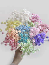 进口巴西小星花干花包大花小雏菊香薰材料包永生花浮游花香摄影花