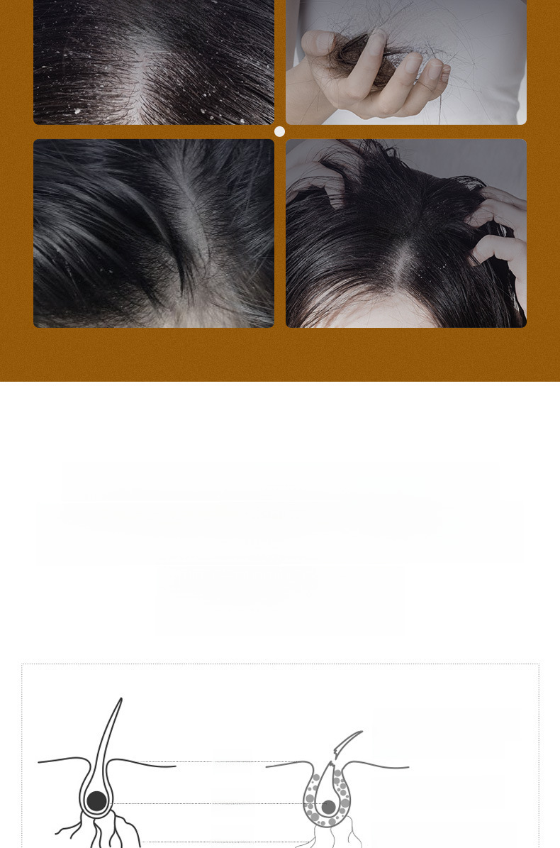 Shampoo Image 4