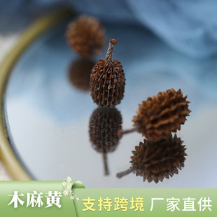 ľ���S�����RβС�ɹ� �ɻ�diy���ϰ����Ĕ[�������������ɻ����l
