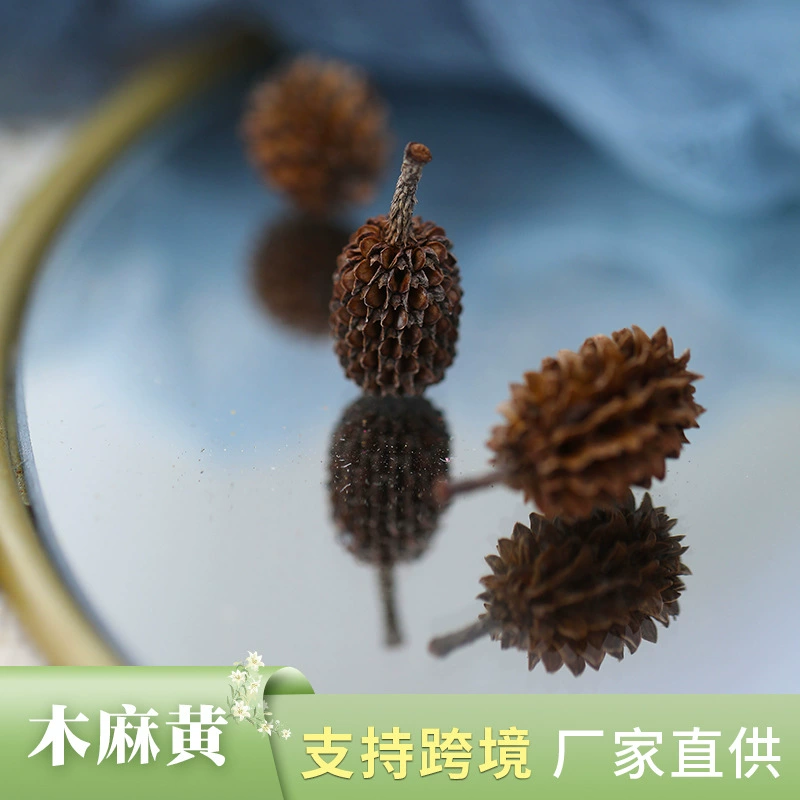 [木麻黄果实马尾小松果 干花diy材料包花材摆件真永生花束干花批发]