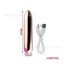 充电子弹按摩器女性自慰十频强震USB插针充电生活防水成人用品