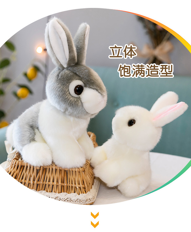 仿真兔子_08.jpg