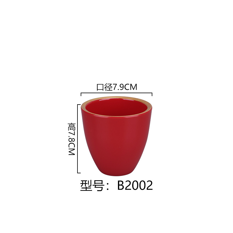 B2002*100 레드 골드