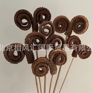 ����ǭh���U���M�ڸɹ��ɻ��b廨��Ȼֲ��ҾӔ[�O���նYƷ