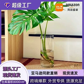 装饰花瓶;密封盒储物罐;玻璃罐
