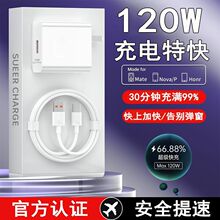 �m���A��120W��������sҫ�W�䔵������׿�֙C��늾���ȫ�����C
