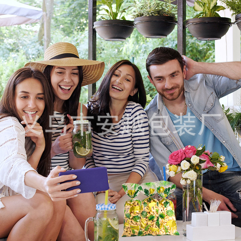 Transfronteriza nueva selva animal fiesta de cumpleaños decoración OPP caramelo regalo galleta bolsa de celofán