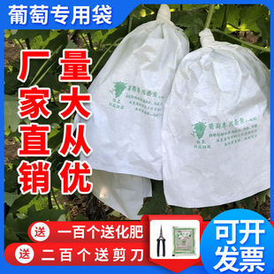 Li Jianbao Grape Bagging Special Paper Bag Insect-proof Bird-proof Fruit Waterproof Rain-proof Grape Bag Lotus Mist Special
