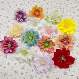 ĵ��ѩɏ�P�˰ll�A���h�����c�Ҿӵ���ñ���b�����滨