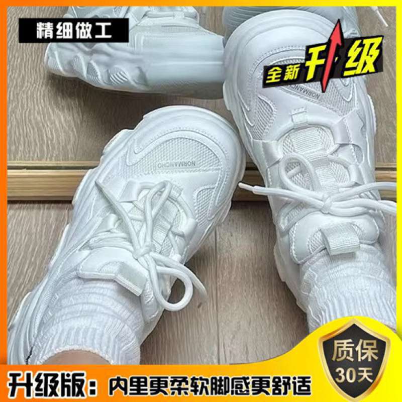 화이트 + [업그레이드 버전]