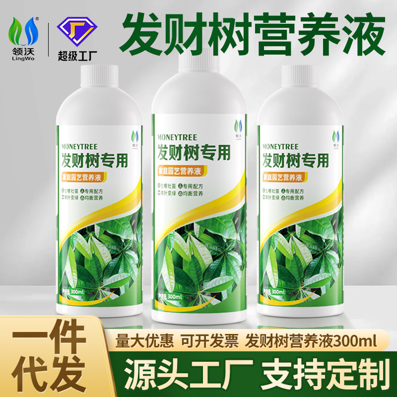 Liquide nutritive spéciale pour les arbres de la richesse à la tête