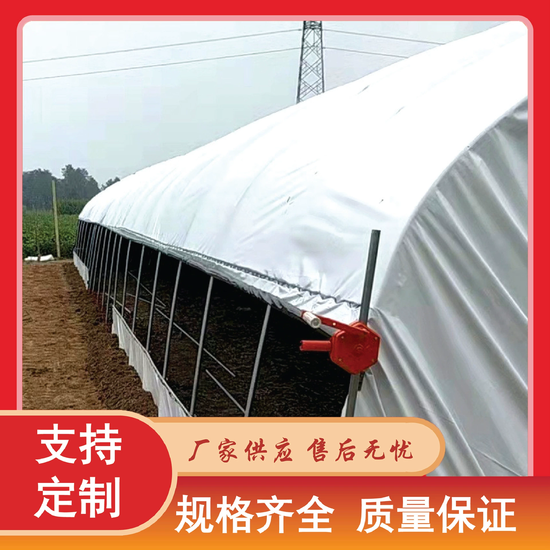 Уси завод поставки парниковых цветок парниковых селекции парниковых винограда посадки Новый Зонтик Клубника парниковых