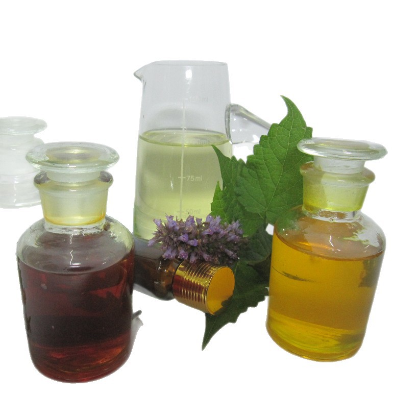 ��Ӧ«����   ��«��ֲ����ȡ ��ӭ����