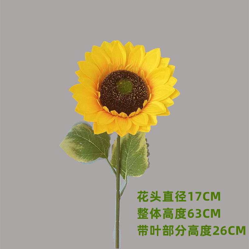 GP 옐로우 No. 5 17