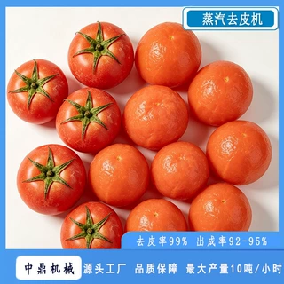 中鼎机械 全自动西红柿蒸汽去皮机 番茄清洗去皮机 圣女果去皮机
